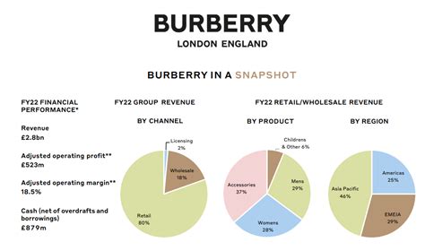 swot burberry